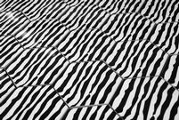 carrelage eamille zebra noir et blanc